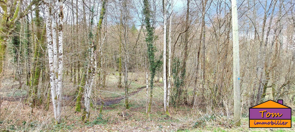 Terrain à COURMONT