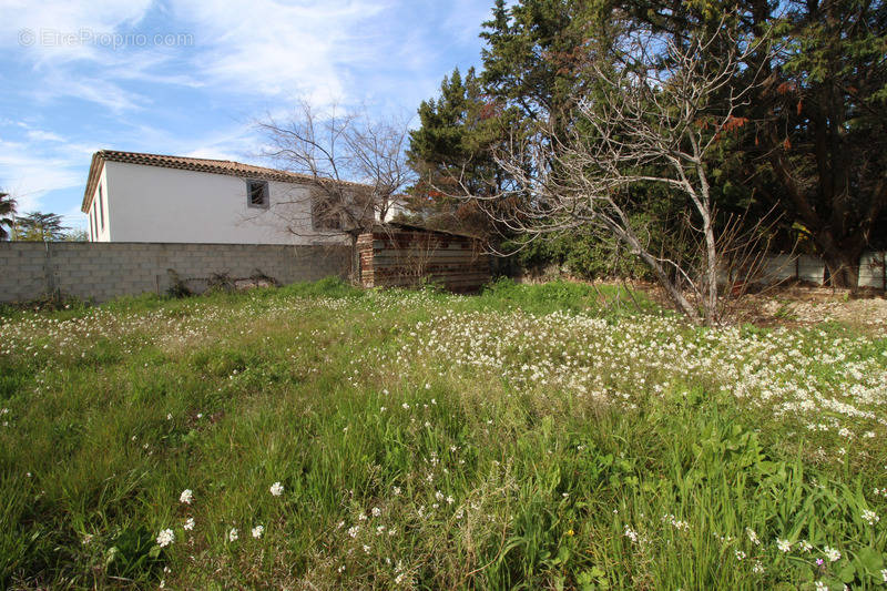 Terrain à MARSEILLE-15E