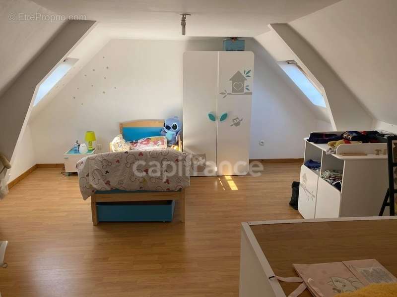 Appartement à SAINS-DU-NORD