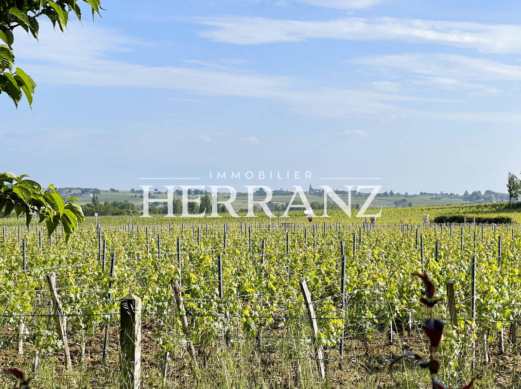 Terrain à POMEROL