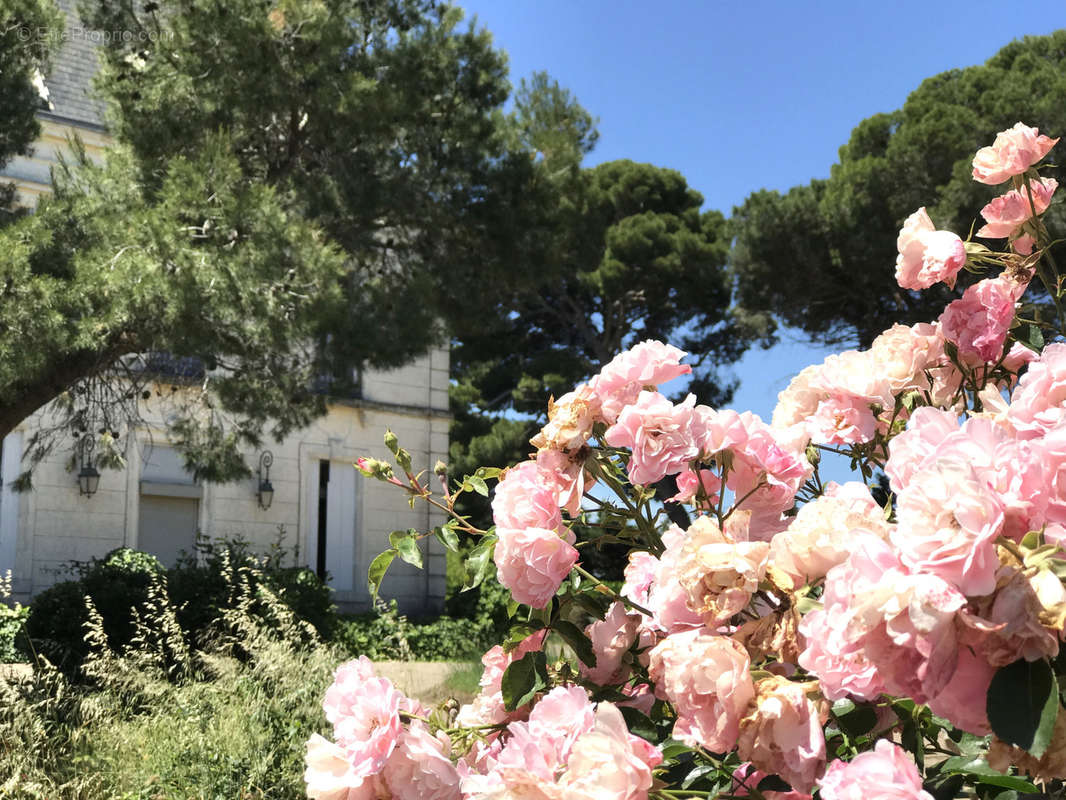 Maison à AGDE