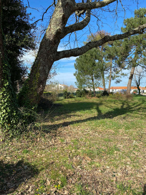 Terrain à SAINT-AUGUSTIN