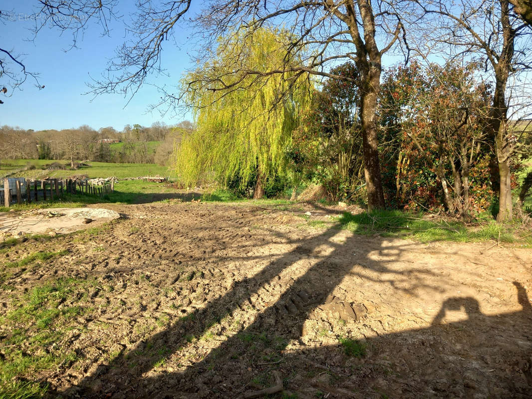 Terrain à BRISCOUS