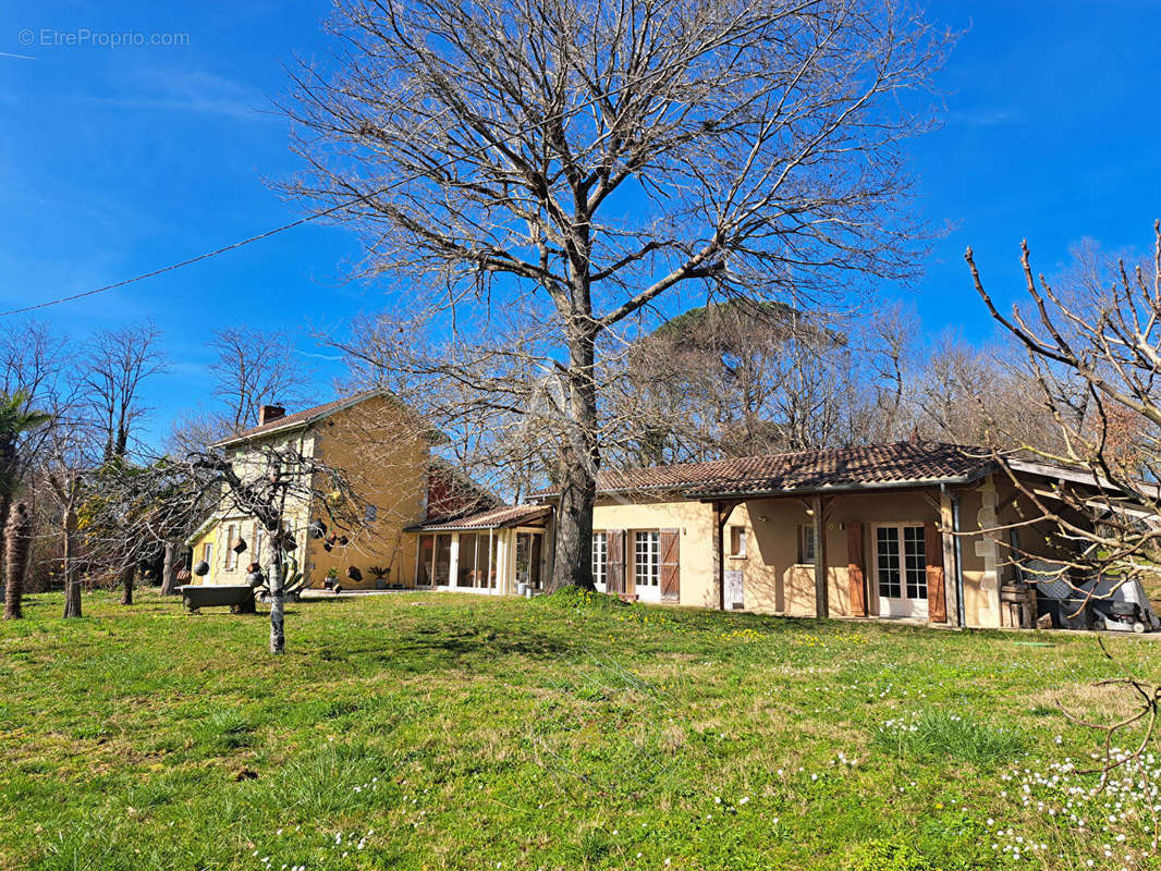 Maison à ESTANG