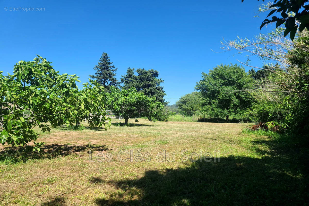 Terrain à SOLLIES-PONT