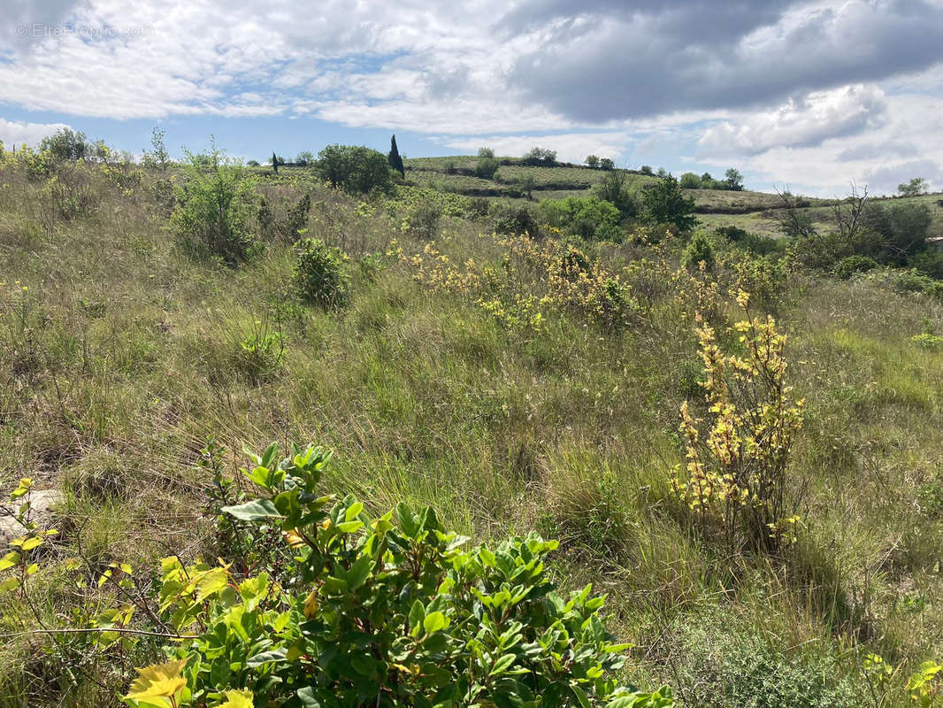 Terrain à DURBAN-CORBIERES