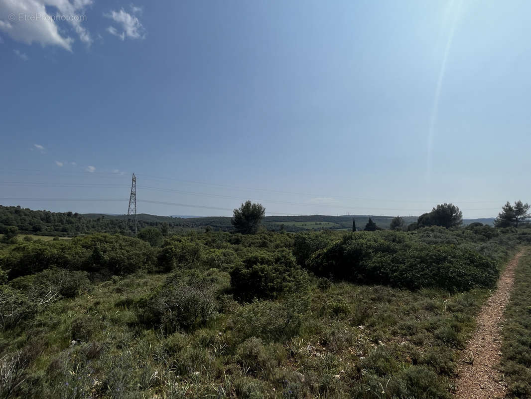 Terrain à MONTARNAUD