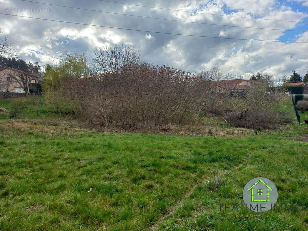 Terrain à MONISTROL-SUR-LOIRE