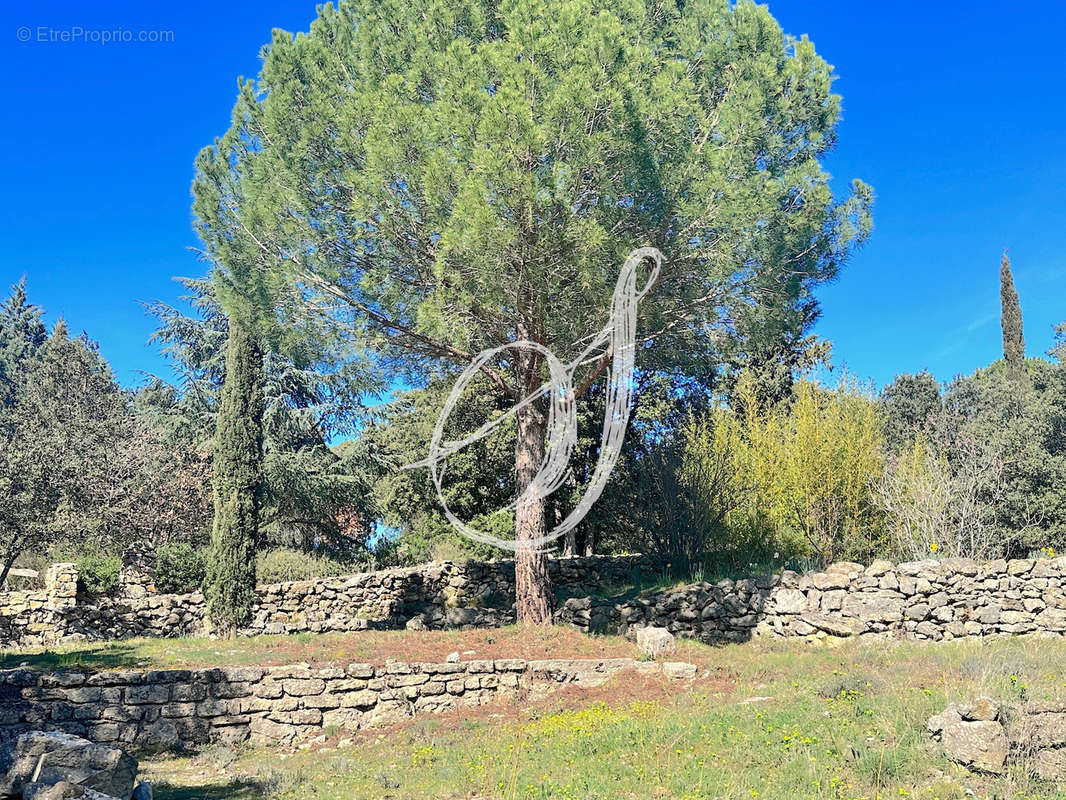 Maison à SAINT-GEORGES-D&#039;ORQUES