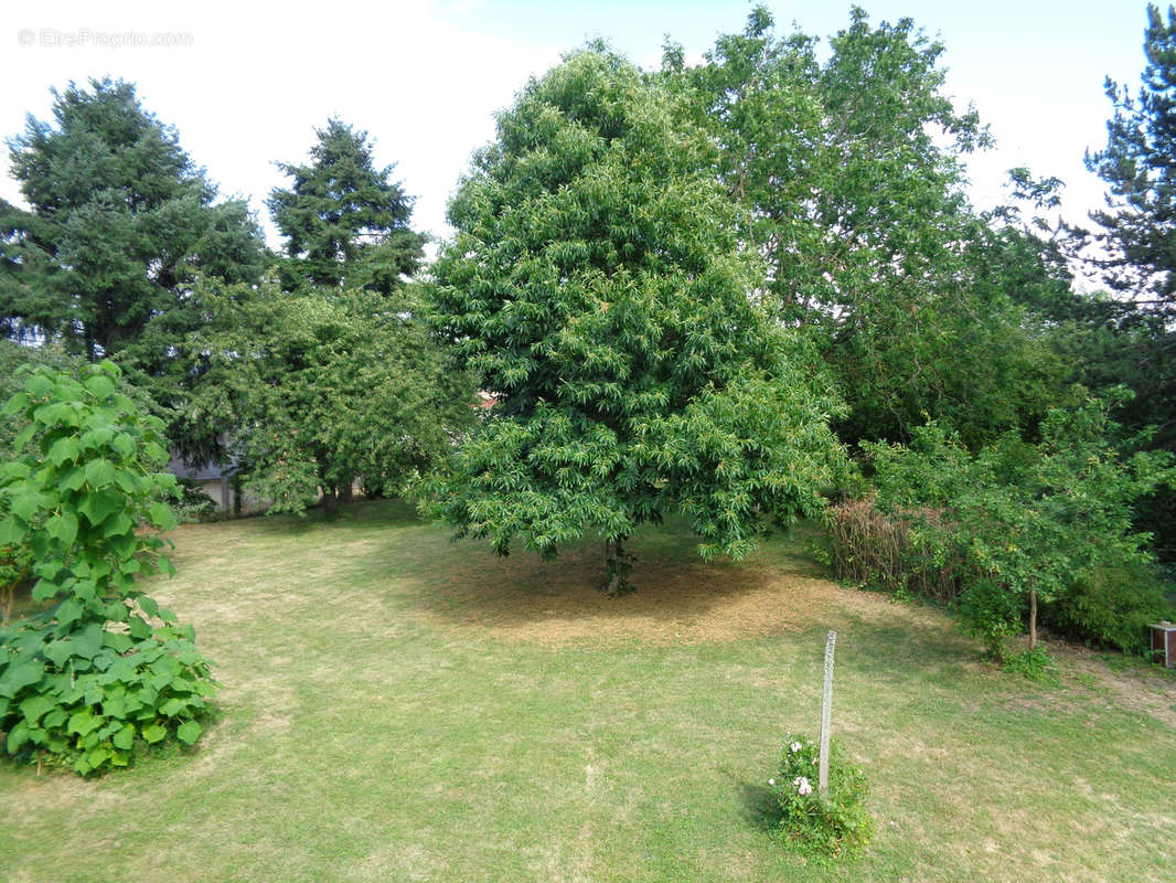 Maison à SAINT-BENIN-DES-BOIS