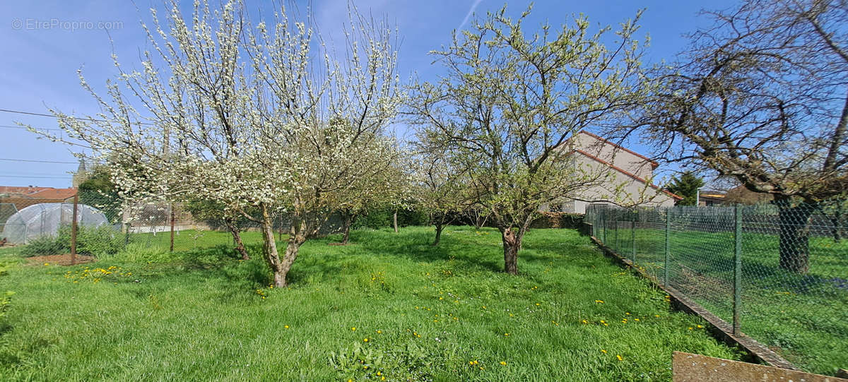 Maison à SAINTE-MARIE-AUX-CHENES