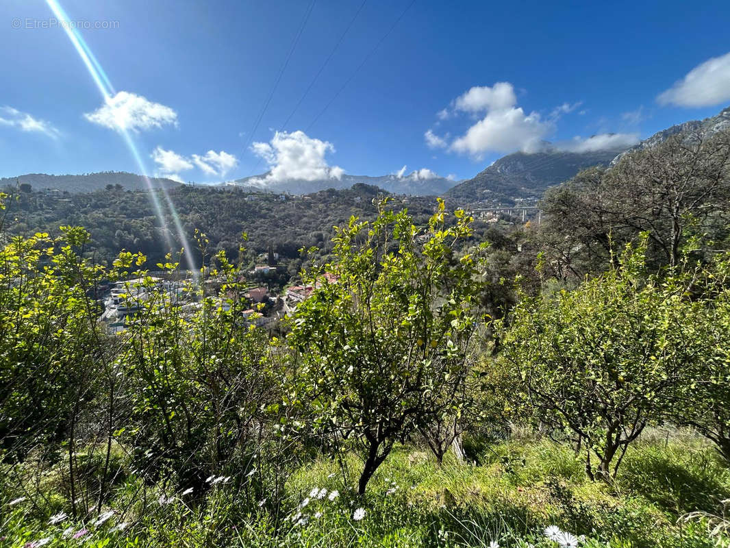 Terrain à MENTON