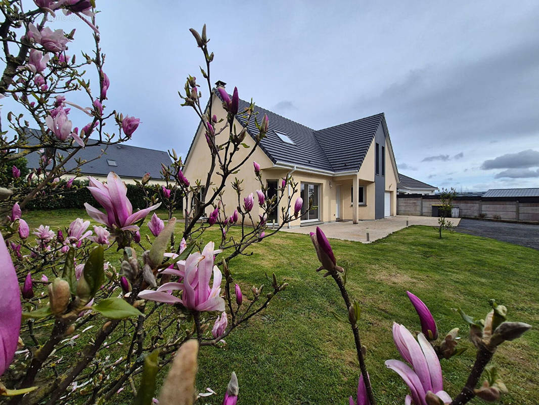 Maison à BOURG-ACHARD