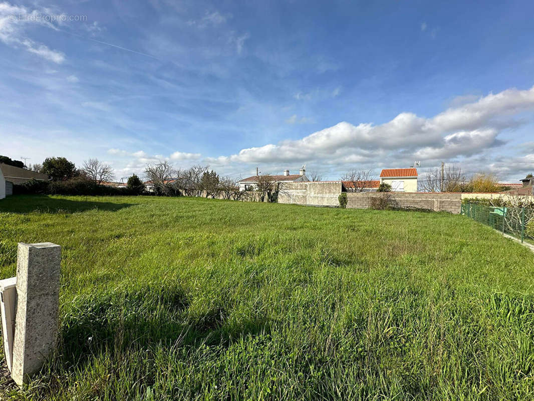 Terrain à SAINT-HILAIRE-DE-RIEZ