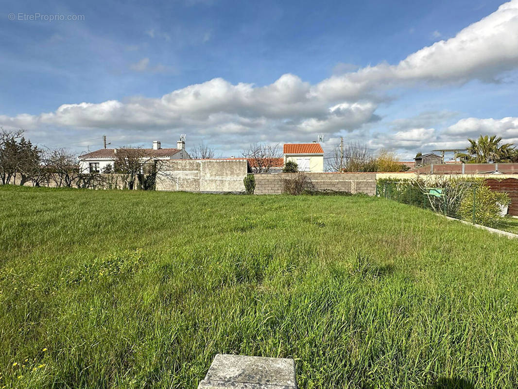 Terrain à SAINT-HILAIRE-DE-RIEZ