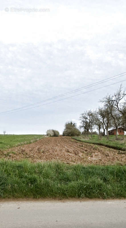 Terrain à ROUSSY-LE-VILLAGE