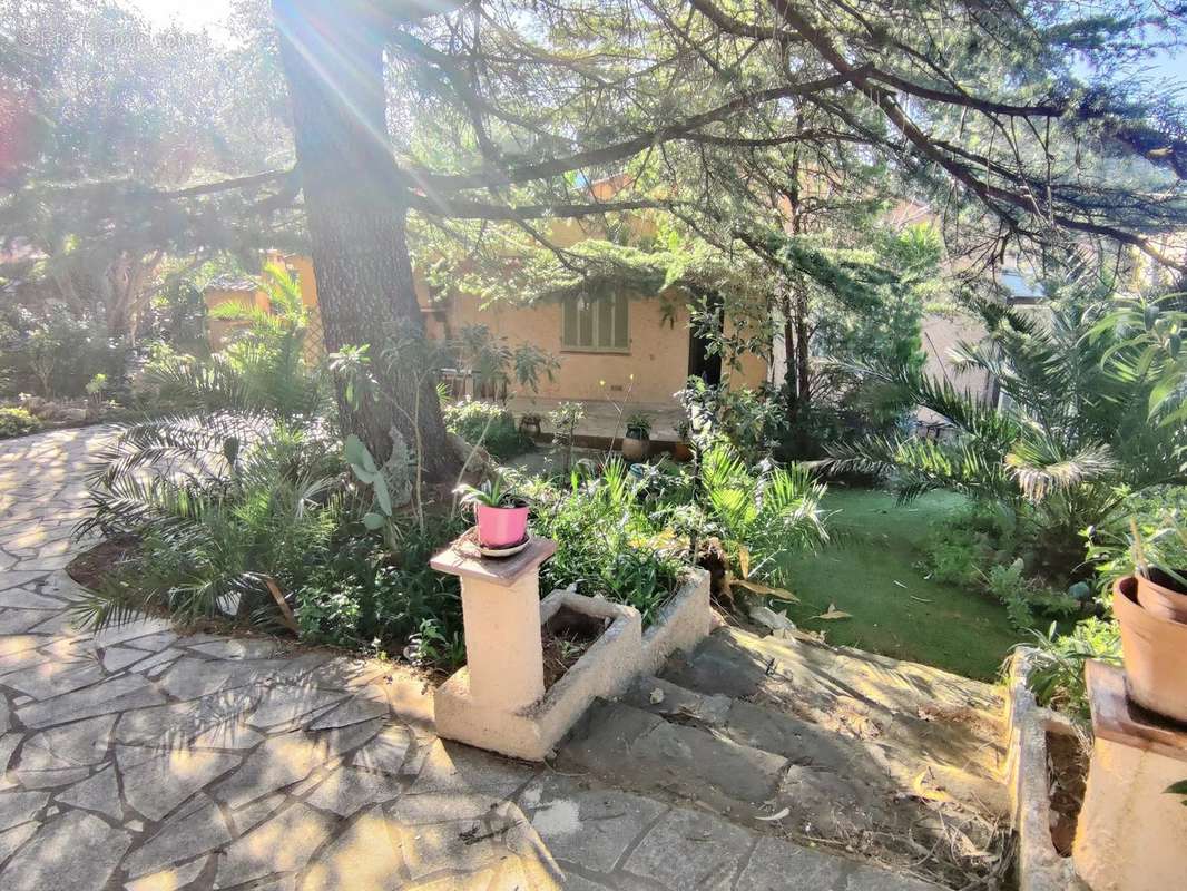 Maison à ROQUEBRUNE-SUR-ARGENS