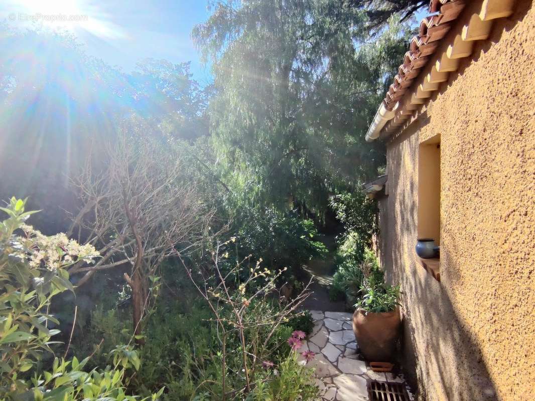 Maison à ROQUEBRUNE-SUR-ARGENS