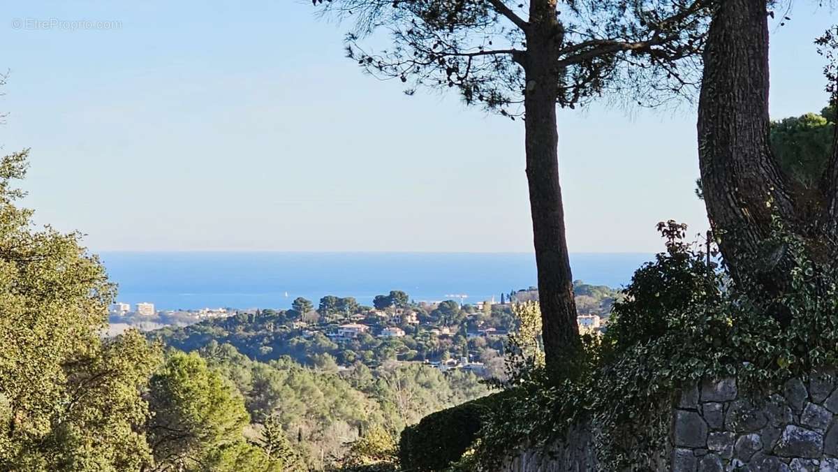 Maison à BIOT