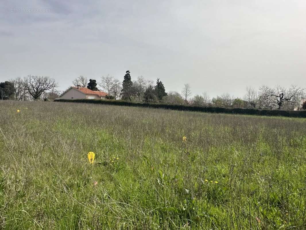 Terrain à MONTASTRUC-LA-CONSEILLERE