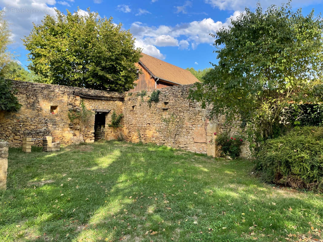 Jardin - Maison à SAINT-CYPRIEN