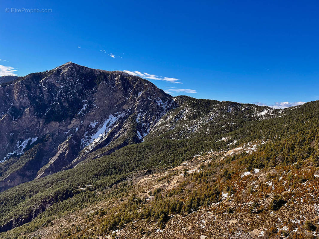 Terrain à ILONSE