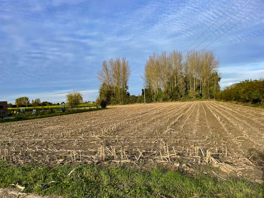 Terrain à SAMEON