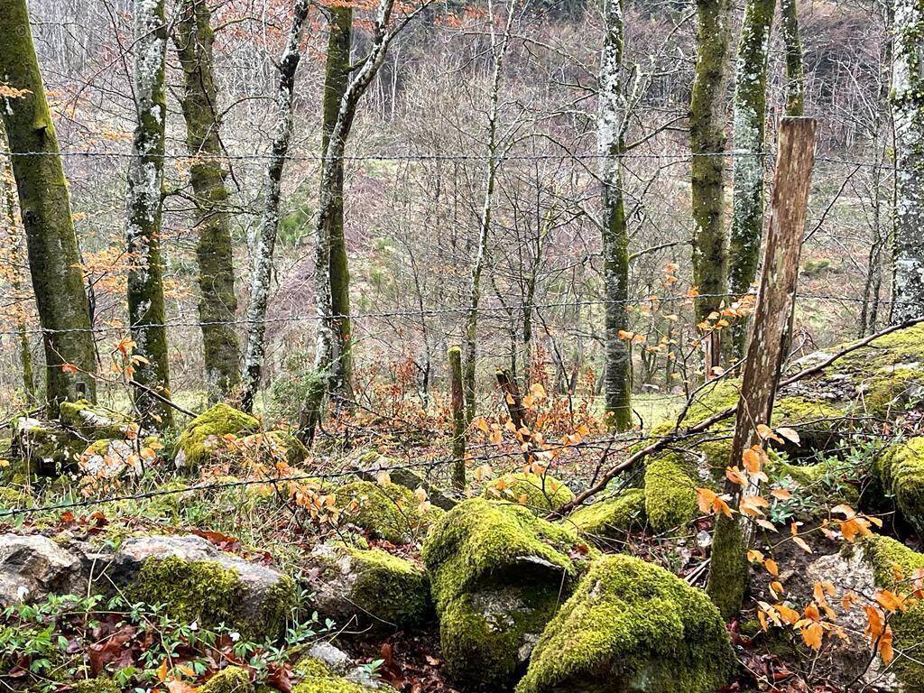 Terrain à DUN-LES-PLACES