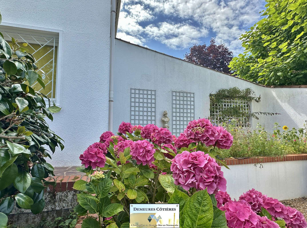 Maison à ETRETAT