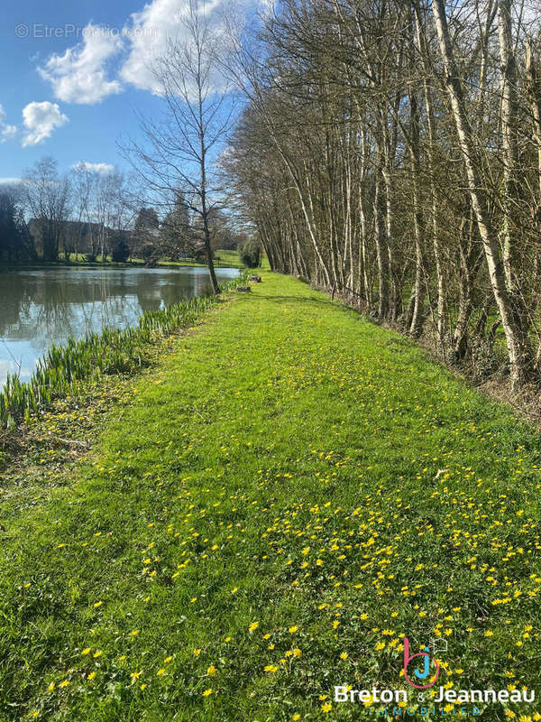 Terrain à MAYENNE