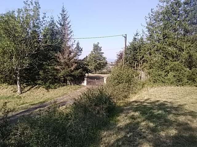 Terrain à SAINT-JULIEN-CHAPTEUIL