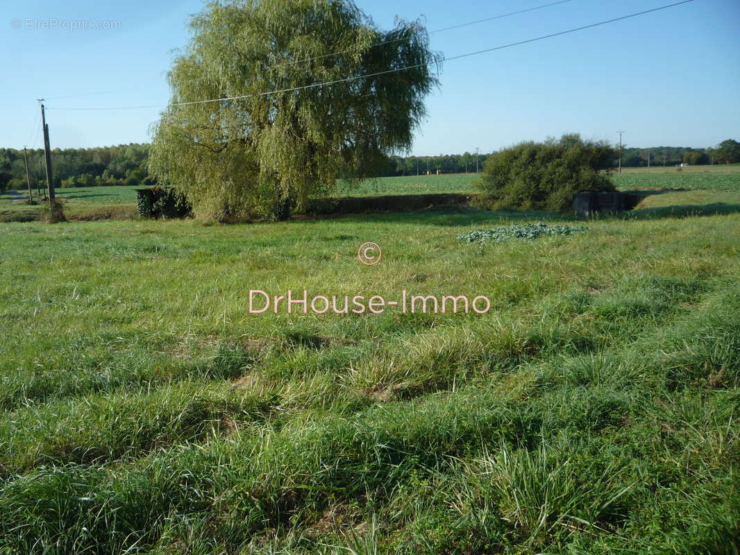 Terrain à SAVIGNE-SUR-LATHAN