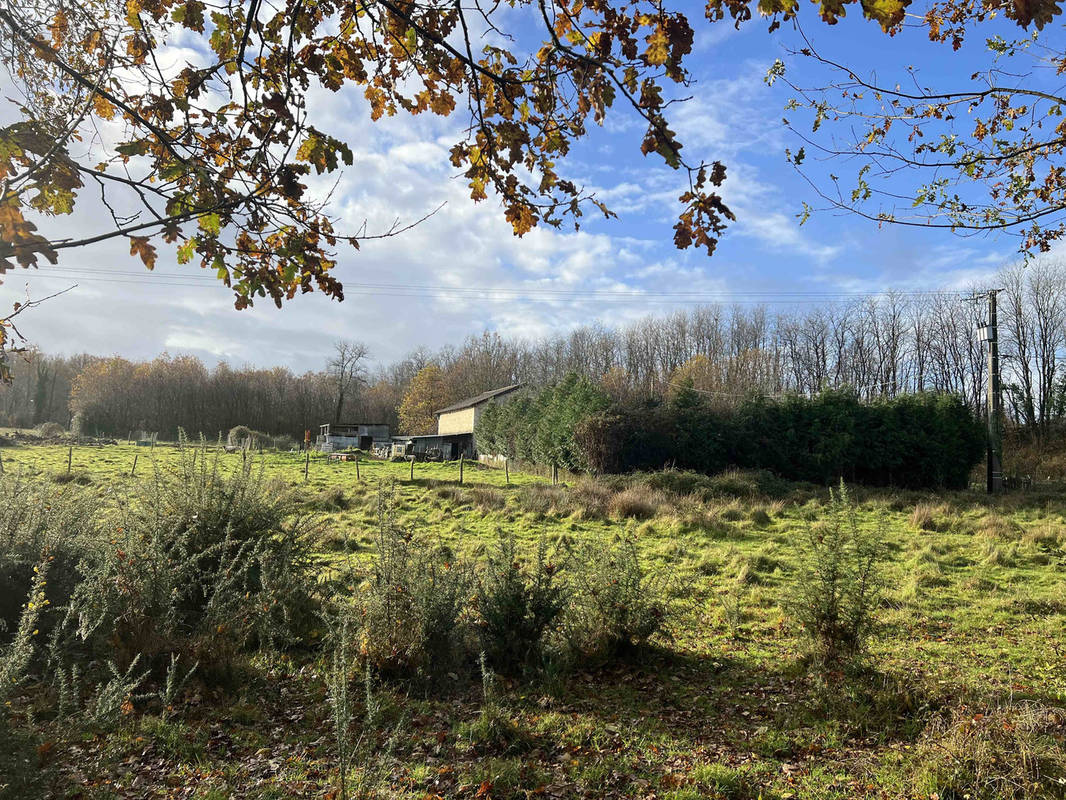 Terrain à MANOT