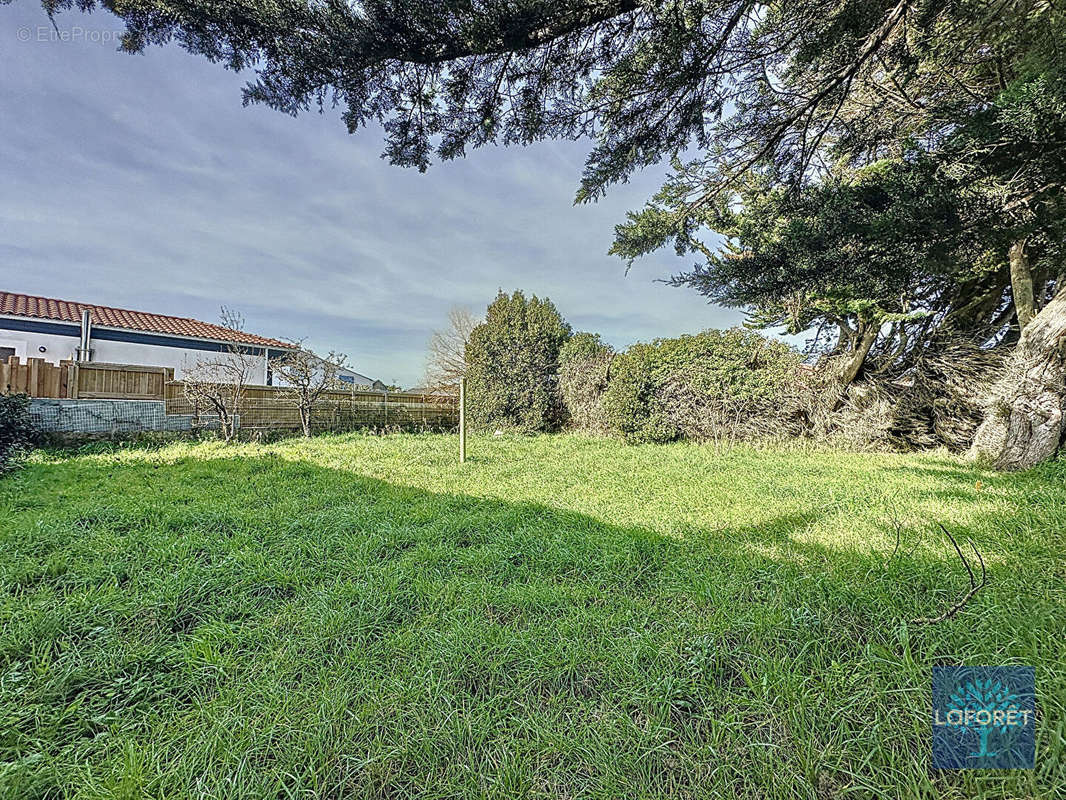 Terrain à SAINT-GILLES-CROIX-DE-VIE