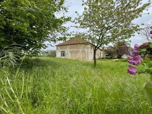 Maison à CHAUVIGNY