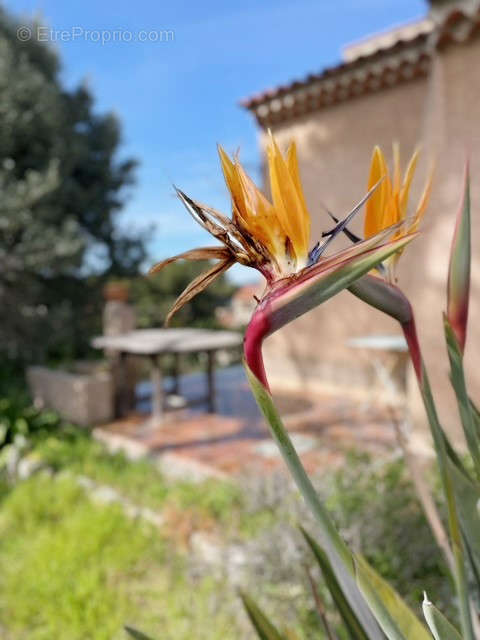 Maison à HYERES