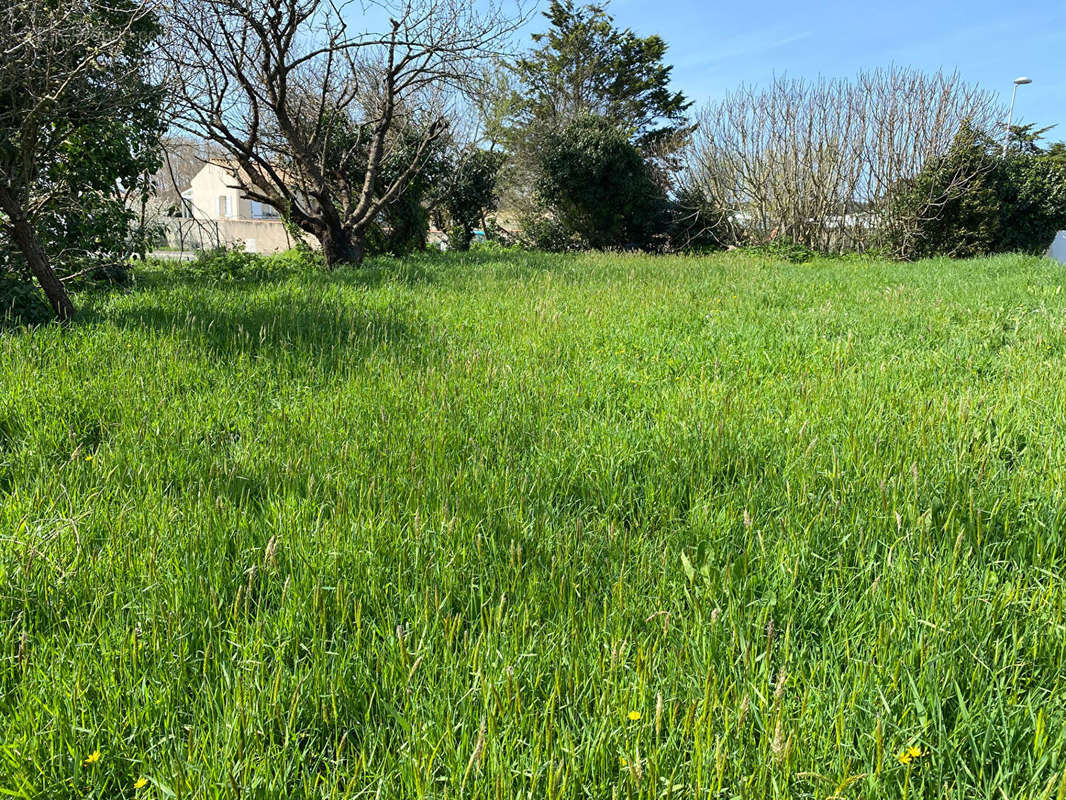 Terrain à BREM-SUR-MER