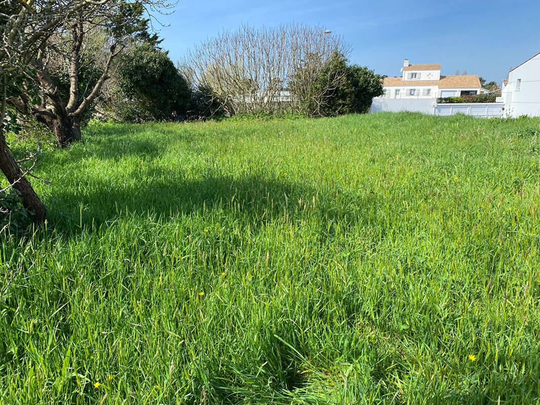 Terrain à BREM-SUR-MER