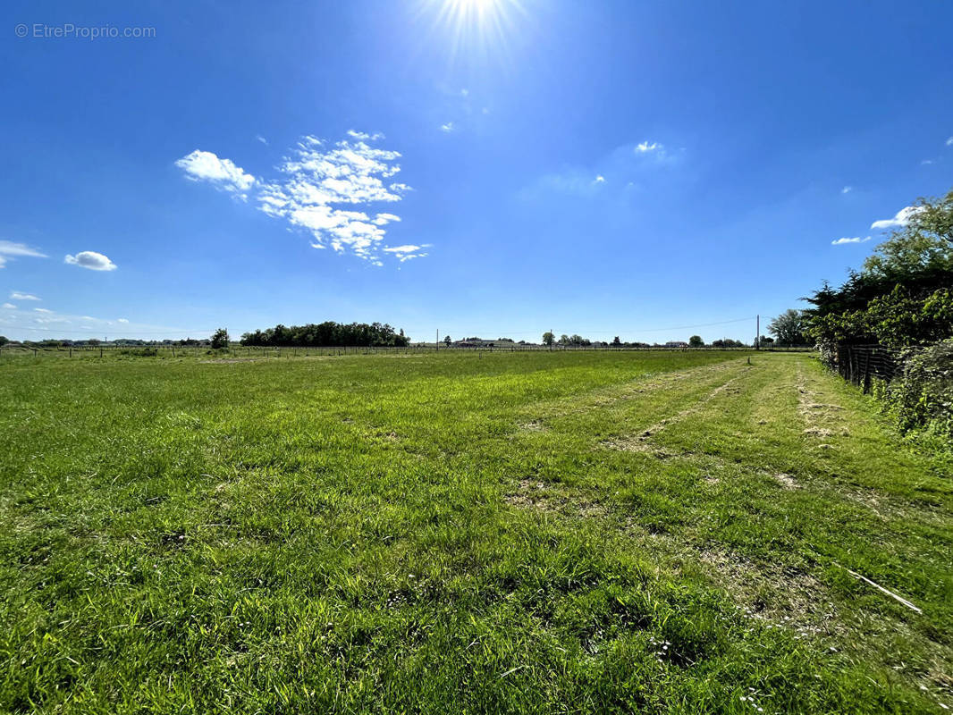 Terrain à CARS