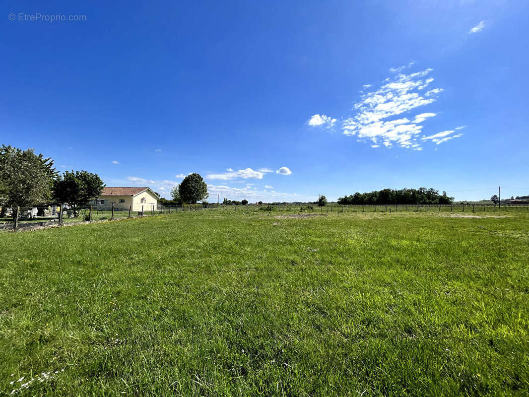 Terrain à BLAYE