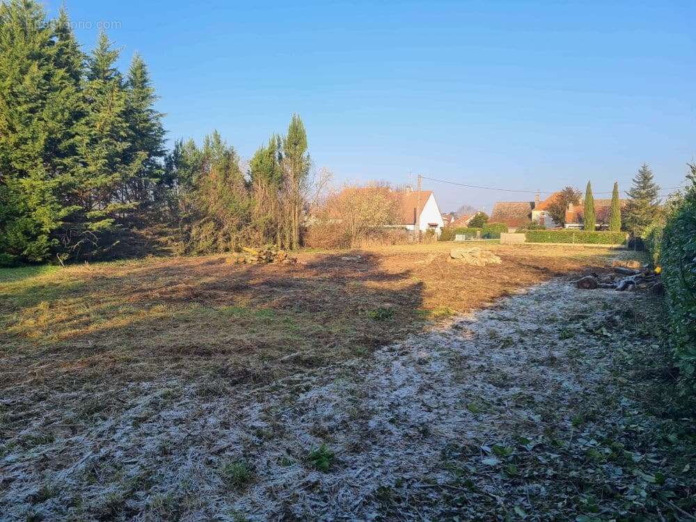 Terrain à SAINT-LOUP-DE-VARENNES