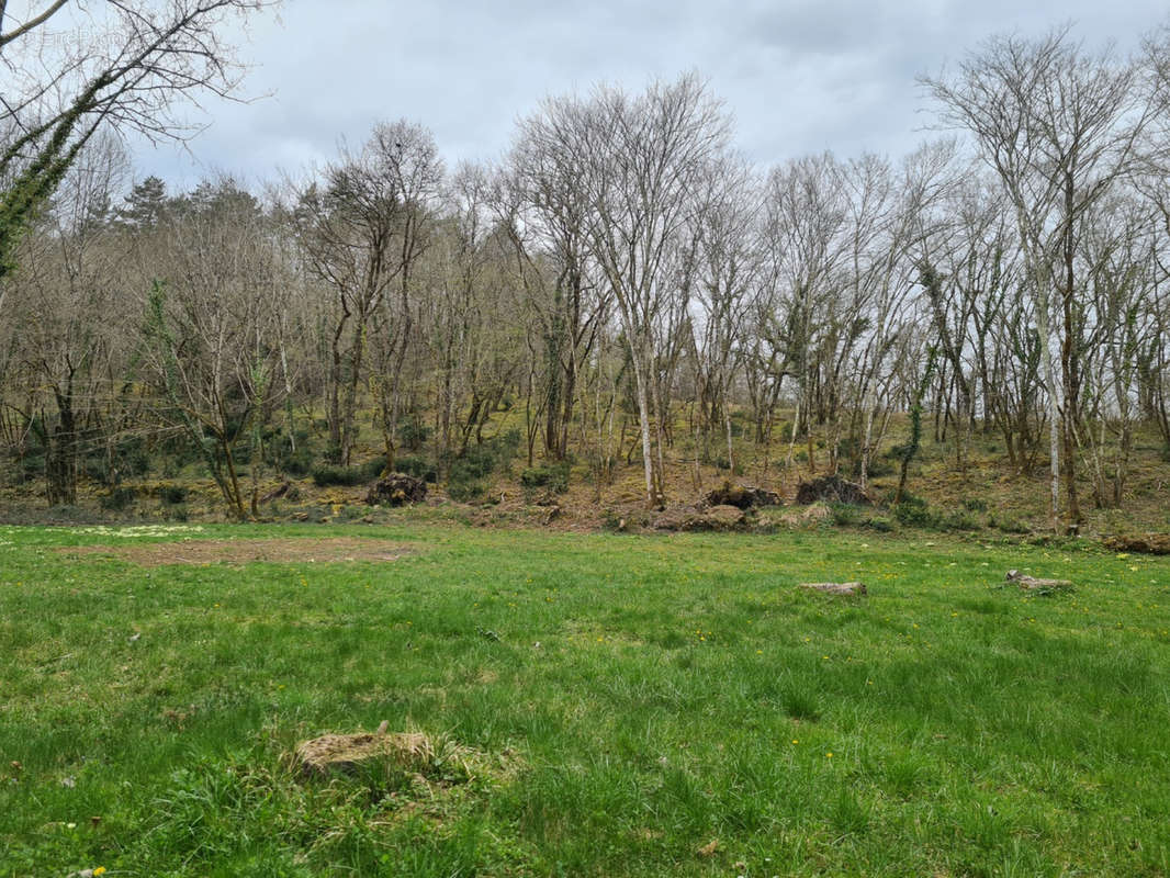 Terrain - Maison à TAMNIES