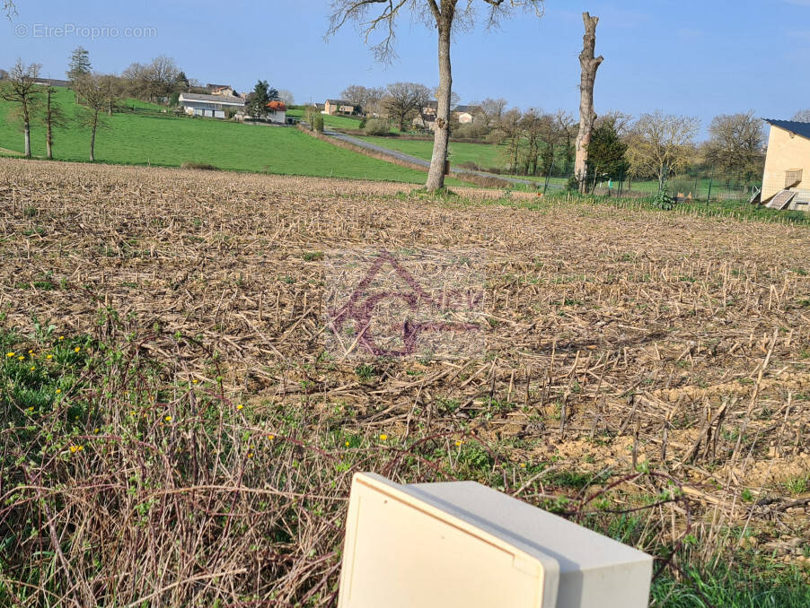 Terrain à TAURIAC-DE-NAUCELLE