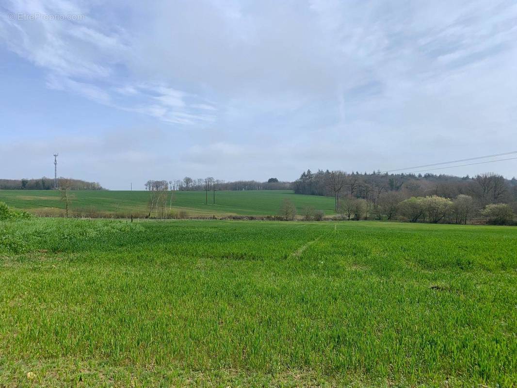 Terrain à GOVEN