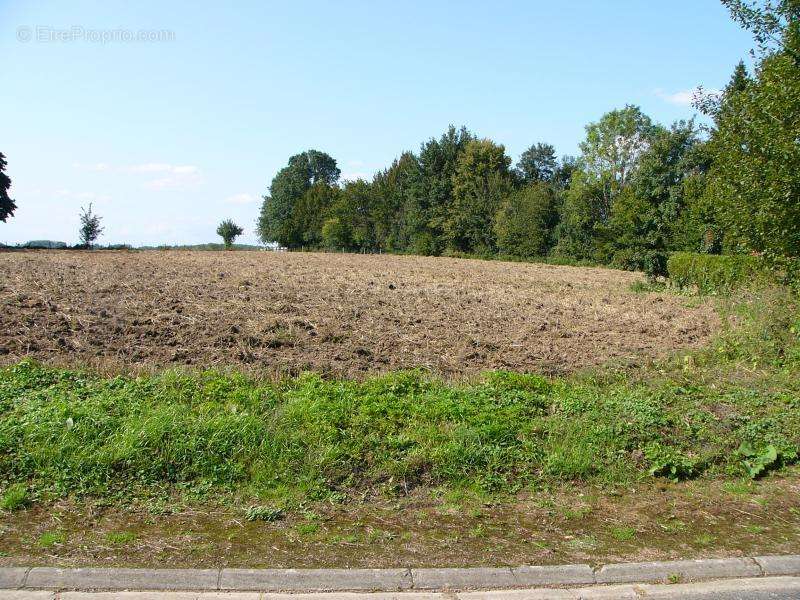 Terrain à HUMIERES