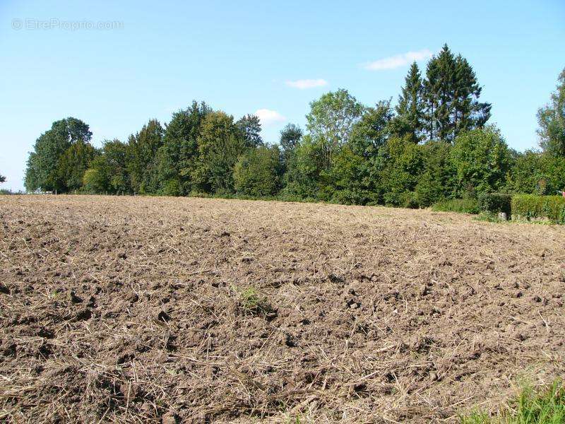 Terrain à HUMIERES