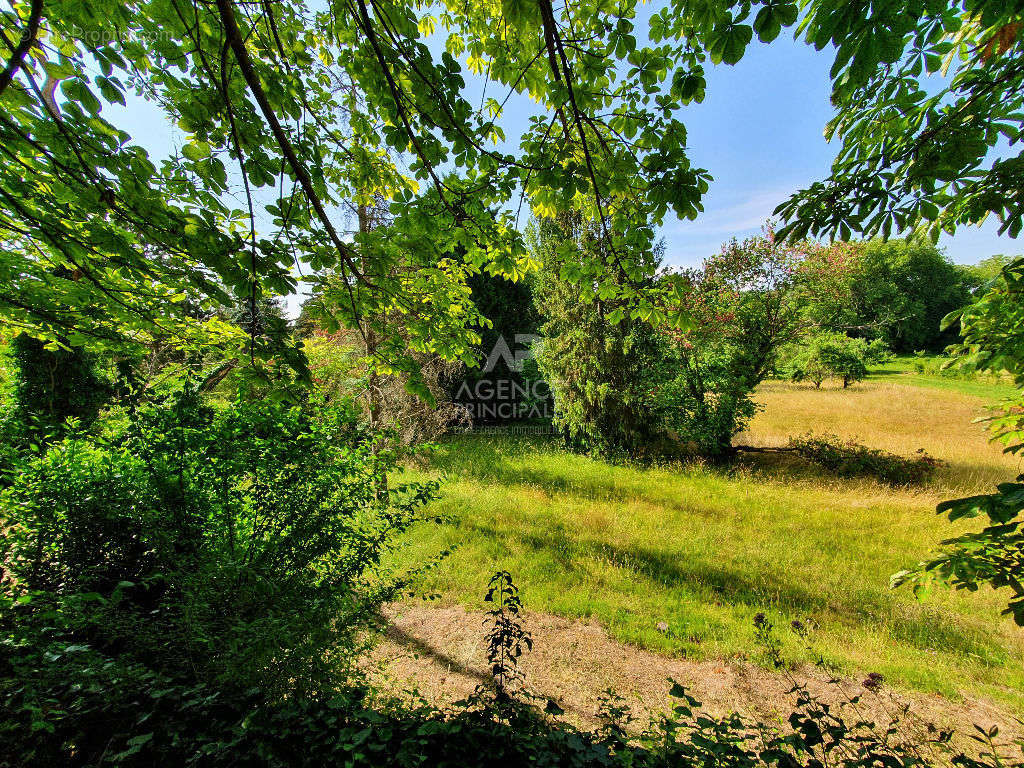 Terrain à VAUX-SUR-SEINE