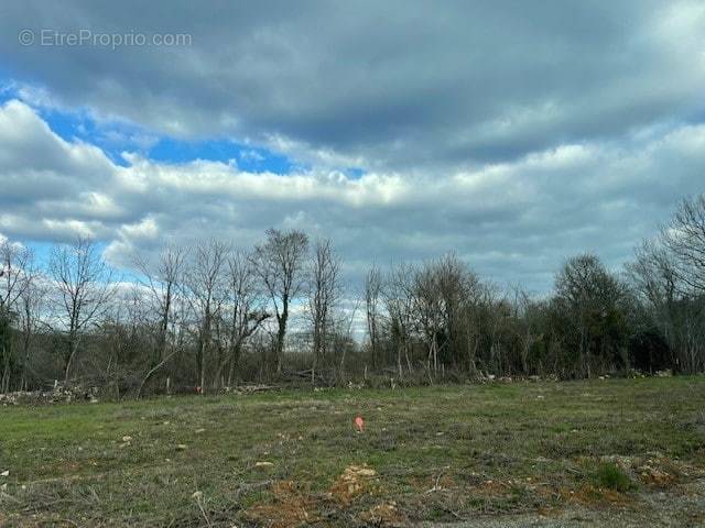 Terrain à OUZILLY