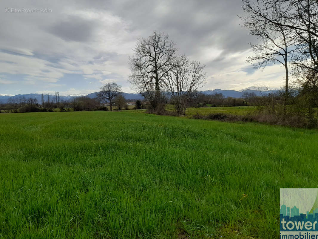 Terrain à FRANQUEVIELLE