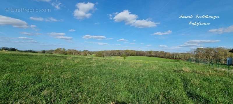 Terrain à ARZACQ-ARRAZIGUET